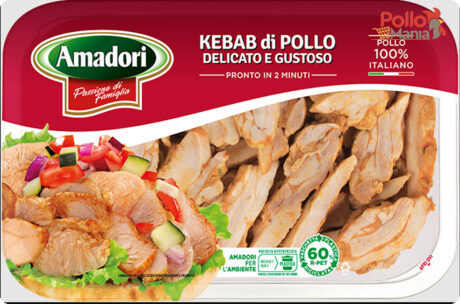 kebab pollo